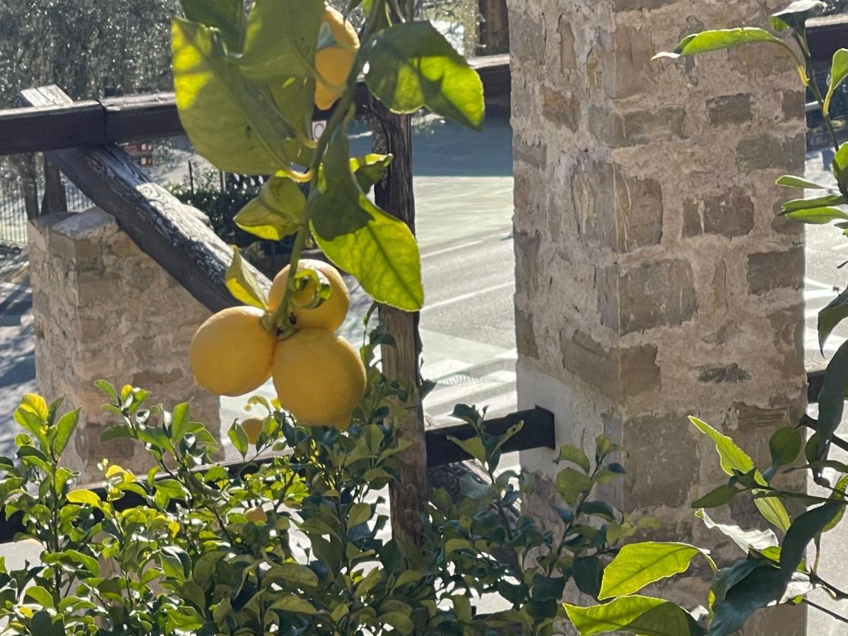 B&B Casa Limone Limone sul Garda Dış mekan fotoğraf