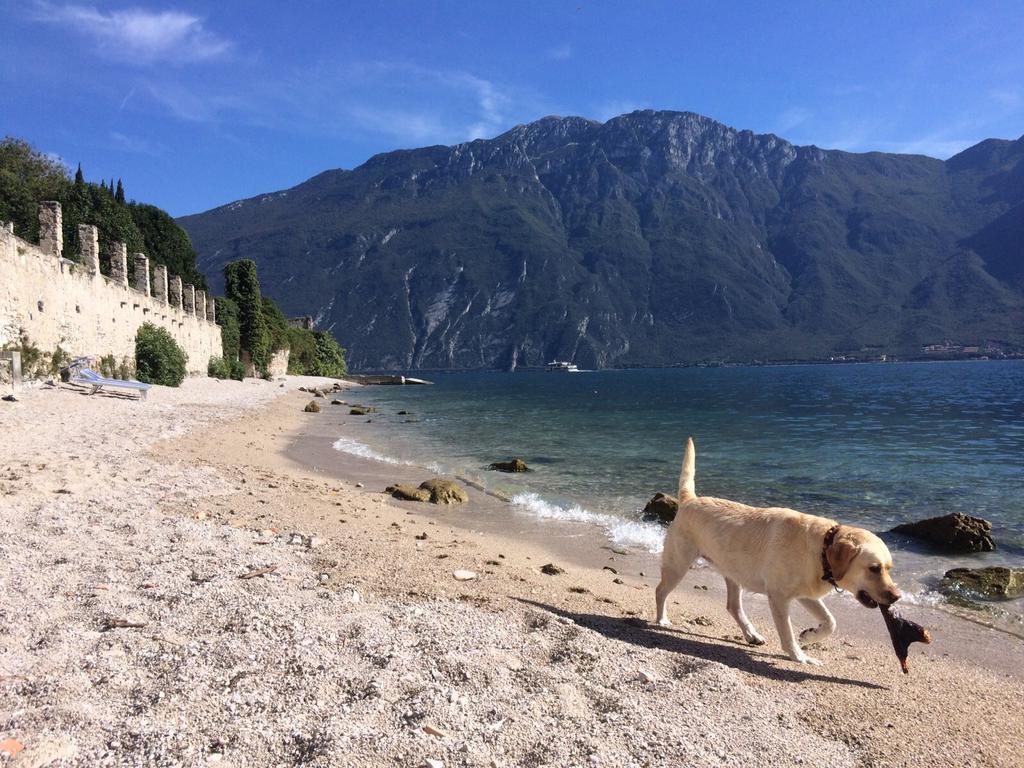 B&B Casa Limone Limone sul Garda Dış mekan fotoğraf